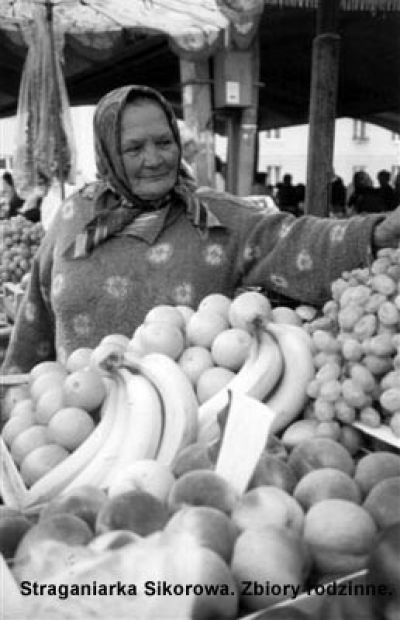 Straganiarka Sikorowa